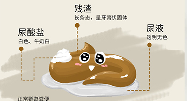 未标题-1.jpg